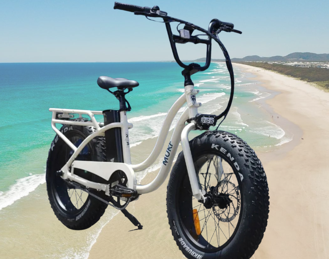 beach bike hire kingscliff